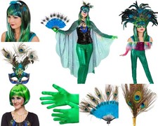 Paradies-Vogel    Pfau