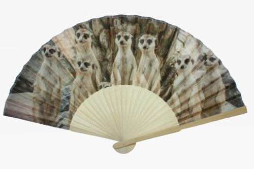 Fächer erdmännchen x 38 - erdmännchen,,